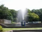 【プール】ふたたび国営武蔵丘陵森林公園の水遊び場！の写真のサムネイル写真8