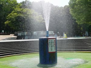 【プール】ふたたび国営武蔵丘陵森林公園の水遊び場！の写真9