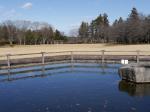 【収穫体験】埼玉県農林公園で、ブルーベリー、じゃがいも、ピーマンの収穫体験！の写真のサムネイル写真2