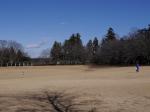 【収穫体験】埼玉県農林公園で、ブルーベリー、じゃがいも、ピーマンの収穫体験！の写真のサムネイル写真3