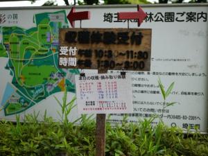 【収穫体験】埼玉県農林公園で、ブルーベリー、じゃがいも、ピーマンの収穫体験！の写真6