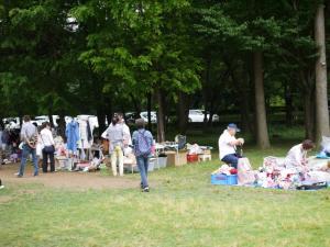 【収穫体験】埼玉県農林公園で、ブルーベリー、じゃがいも、ピーマンの収穫体験！の写真11