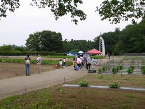 【収穫体験】埼玉県農林公園で、ブルーベリー、じゃがいも、ピーマンの収穫体験！の写真14