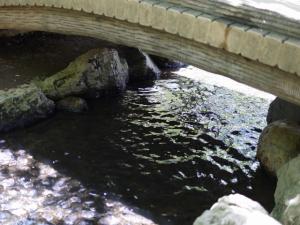 【じゃぶじゃぶ池】上尾丸山公園のじゃぶじゃぶ池で水遊び！の写真13