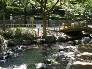 【じゃぶじゃぶ池】上尾丸山公園のじゃぶじゃぶ池で水遊び！の写真16