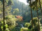 【川遊び】雀川砂防ダム公園のじゃぶじゃぶ池で水遊び！の写真のサムネイル写真6