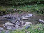 【川遊び】雀川砂防ダム公園のじゃぶじゃぶ池で水遊び！の写真のサムネイル写真11