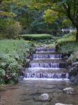 【川遊び】雀川砂防ダム公園のじゃぶじゃぶ池で水遊び！の写真のサムネイル写真19