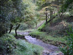 【川遊び】雀川砂防ダム公園のじゃぶじゃぶ池で水遊び！の写真25