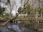 【じゃぶじゃぶ池】町制施行記念公園のじゃぶじゃぶ池で水遊び！の写真のサムネイル写真10