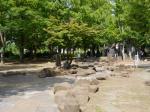 【じゃぶじゃぶ池】大崎公園のじゃぶじゃぶ池で水遊び！の写真のサムネイル写真1