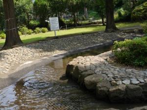 【じゃぶじゃぶ池】大崎公園のじゃぶじゃぶ池で水遊び！の写真9