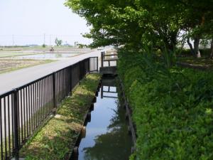 【ザリガニ釣り】川里中央公園でザリガニ釣り！ part1の写真1