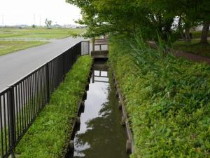 【ザリガニ釣り】川里中央公園でザリガニ釣り！ part2の写真1