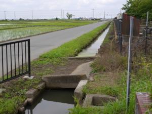 【ザリガニ釣り】川里中央公園でザリガニ釣り！ part2の写真6