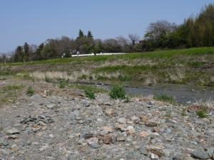 【川遊び】川の広場バーベキュー場で、川遊び！の写真2