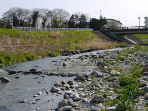 【川遊び】川の広場バーベキュー場で、川遊び！の写真15