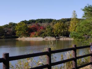 【ウォーキング】八丁湖公園でウォーキング！の写真2