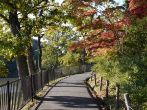 【ウォーキング】八丁湖公園でウォーキング！の写真5