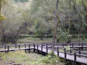 【ウォーキング】八丁湖公園でウォーキング！の写真11