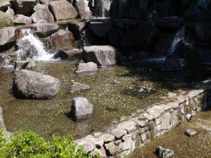 【じゃぶじゃぶ池】鳩山町農村公園のじゃぶじゃぶ池で水遊び！の写真6