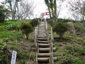 【ウォーキング】男衾自然公園でウォーキング！の写真15