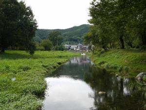 【川遊び】槻川2で、川遊び！生き物がたくさん！の写真13