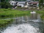 【川遊び】槻川2で、川遊び！生き物がたくさん！の写真のサムネイル写真24