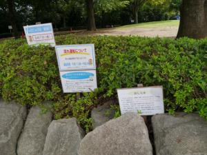 【じゃぶじゃぶ池】戸塚中台公園のじゃぶじゃぶ池で水遊び！？の写真6