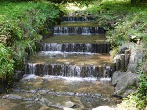 【レポート】雀川砂防ダム公園の親水エリアで川遊び！の写真3