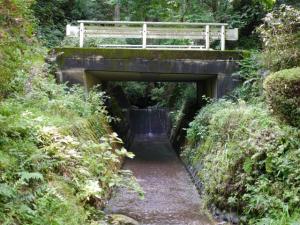 【レポート】雀川砂防ダム公園の親水エリアで川遊び！の写真7