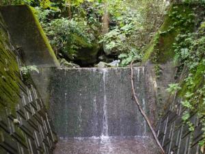 【レポート】雀川砂防ダム公園の親水エリアで川遊び！の写真8