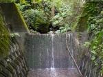 【レポート】雀川砂防ダム公園の親水エリアで川遊び！の写真のサムネイル写真8