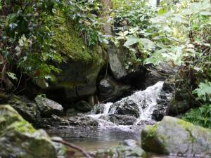 【レポート】雀川砂防ダム公園の親水エリアで川遊び！の写真10