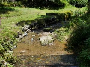 【レポート】雀川砂防ダム公園の親水エリアで川遊び！の写真15