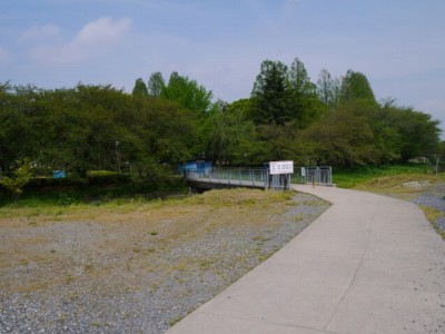 伊佐沼公園の写真2