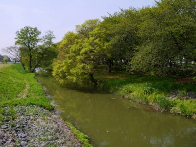 伊佐沼公園の写真4