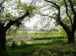 伊佐沼公園の写真のサムネイル写真7