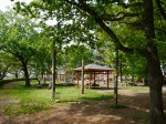 伊佐沼公園の写真のサムネイル写真10