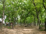 伊佐沼公園の写真のサムネイル写真12