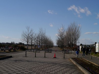 加須はなさき公園の写真2