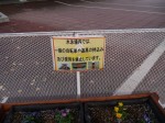 加須はなさき公園の写真のサムネイル写真21