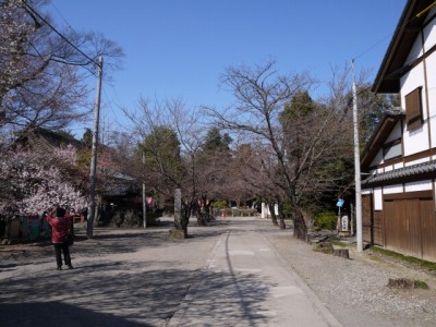 妻沼聖天山（歓喜院）の写真3