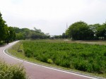 別府沼公園の写真のサムネイル写真4