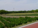 別府沼公園の写真のサムネイル写真5