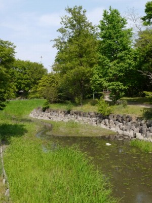 別府沼公園の写真6