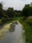 別府沼公園の写真のサムネイル写真7