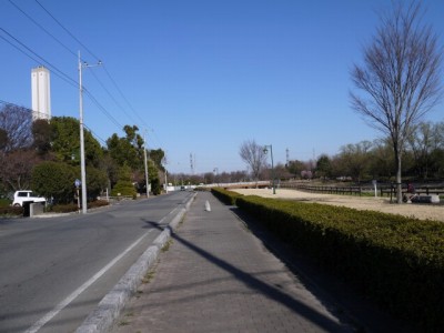 別府沼公園の写真10