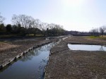 別府沼公園の写真のサムネイル写真12