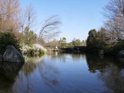 別府沼公園の写真18